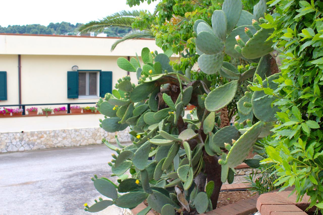 Villaggio Turistico Defensola Вьесте Экстерьер фото